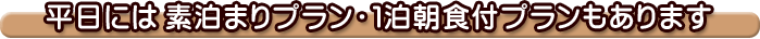 �����ɂ͑f���܂�v�����E1�����H�t�v����������܂�
